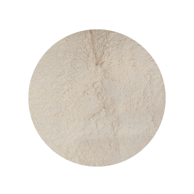 Garlic Powder 1 Pound