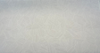 Sunbrella Leaf Structure Acrylic Fabric - Cloud Gray Leaf Pattern, 54" Width (1 Yard)