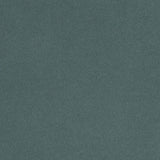 Posh Velvet Polyester Fabric - Mallard Green Blue, Fleece Backed, 56" Width (1 Yard)
