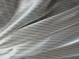 P Kaufmann Crossing Elegant Gold Stripe Sheer Polyester Fabric - Gold Stripe Sheer, 126" Width (1 Yard)