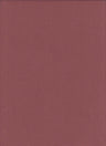 Modal Jersey Jersey Knit Marsala