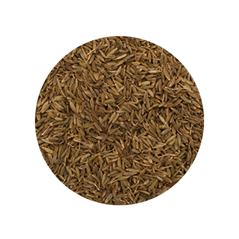 Bulk Foods - Whole Cumin Seeds - Bulk Bin 1342 (5 pounds)