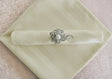 Sample Cloth Dinner Napkin