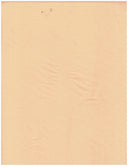 Peach Skin Woven Solid Fabric
