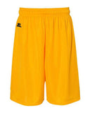 Russell Athletic Men's 9" Dri-Power Tricot Mesh Shorts