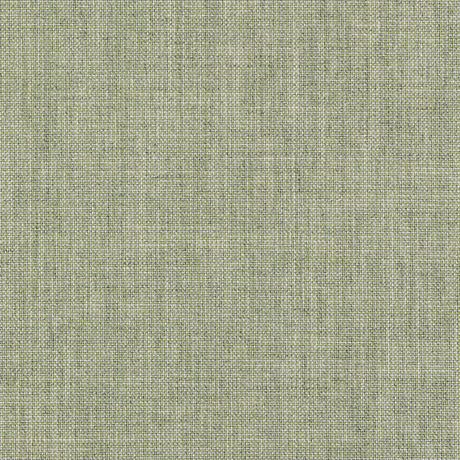 Sunbrella Cast Oasis Acrylic Fabric - Pale Green Heathered Weave, 54" Width (1 Yard)