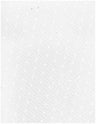 Polka Dot Lace Stretch Mesh