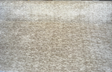 Jazz Plush Chenille Chenille Fabric - Latte, Soft Textured, 55" Width (1 Yard)