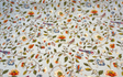 Summer Isles Tigerlily Cotton Fabric - Floral Bird Pattern, Gray Multi, 54" Width (1 Yard)