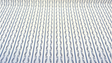 Waverly Regency Stripe Blue Caspian Vine 100% Cotton Fabric - Blue Vertical Stripe Vine Pattern, 57" Width (1 Yard)