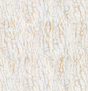 Cloud Cover Parchment Velvet Fabric - Parchment Beige, 54" Width (1 Yard)