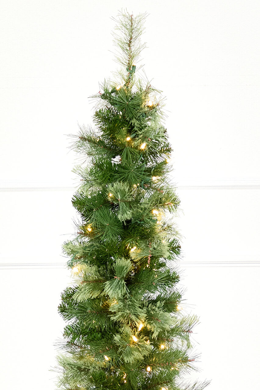 6' Whistler Pine Christmas Tree with 150 Warm White LED Lights