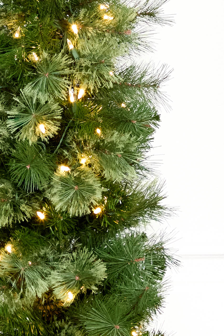 6' Whistler Pine Christmas Tree with 150 Warm White LED Lights