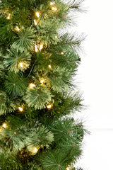 6' Whistler Pine Christmas Tree with 150 Warm White LED Lights