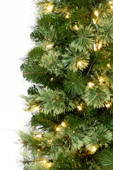 6' Whistler Pine Christmas Tree with 150 Warm White LED Lights
