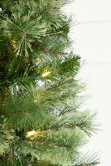 6' Whistler Pine Christmas Tree with 150 Warm White LED Lights
