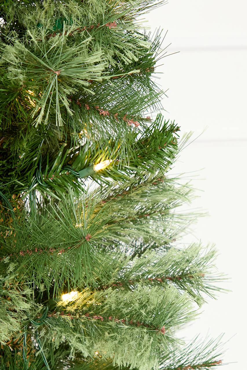 8' Whistler Pine Christmas Tree with 200 Warm White LED Lights