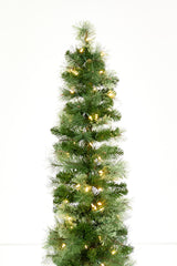 8' Whistler Pine Christmas Tree with 200 Warm White LED Lights