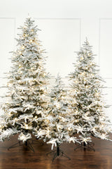 4.5' Flocked Christmas Tree with 22 G40 LED Lights