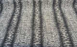 Swavelle Micado Shadow Animal Skin Chenille Upholstery Chenille Fabric - Charcoal, Black, Ivory, Grey Abstract Animal Skin, 58" Width (1 Yard)