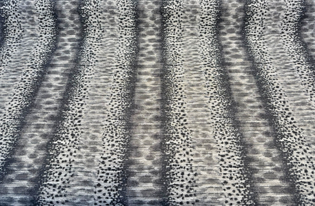 Swavelle Micado Shadow Animal Skin Chenille Upholstery Chenille Fabric - Charcoal, Black, Ivory, Grey Abstract Animal Skin, 58" Width (1 Yard)