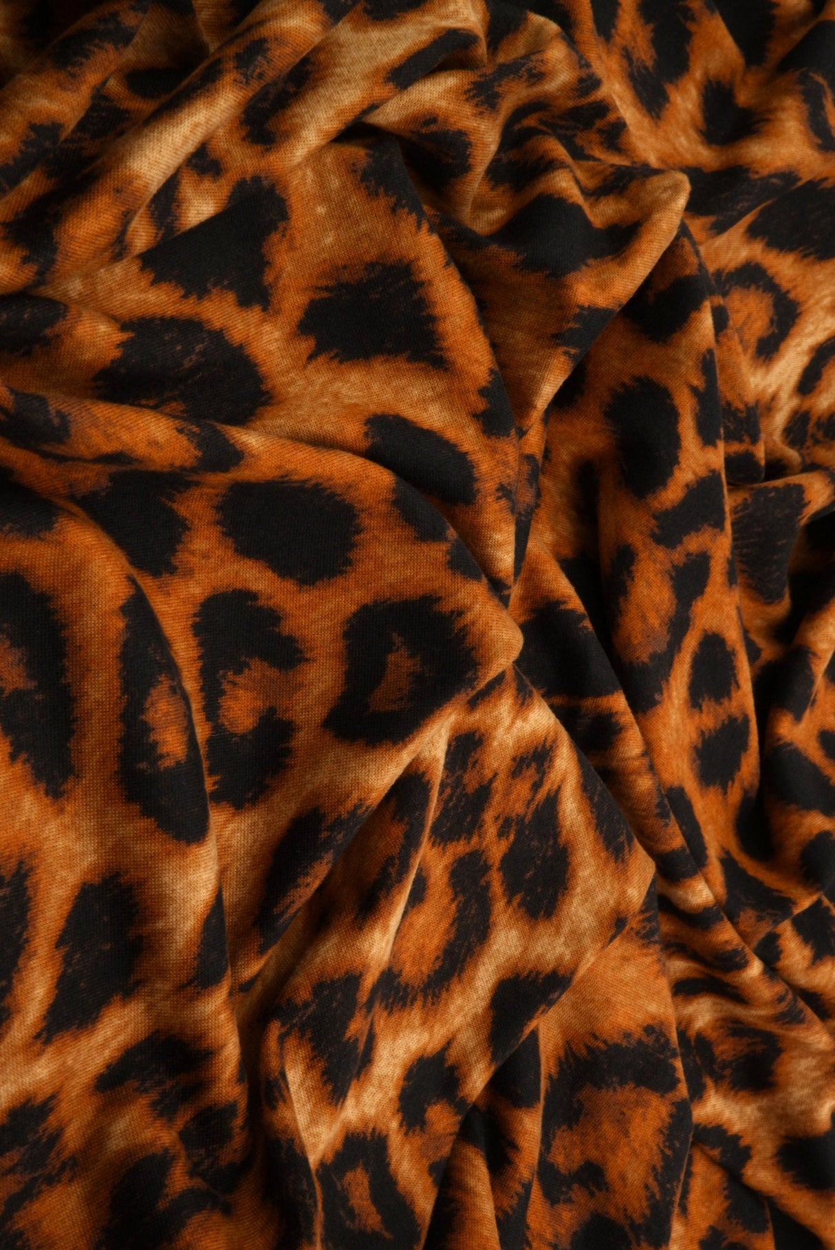Animal Print Brushed DTY Knit Fabric