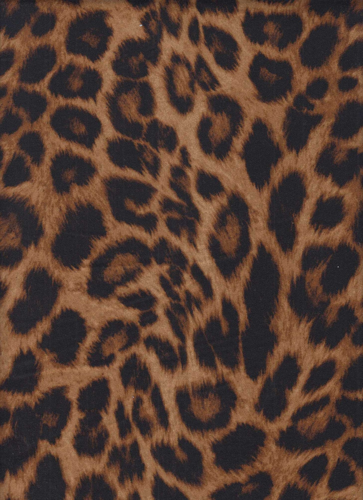 Animal Print Brushed DTY Knit Fabric