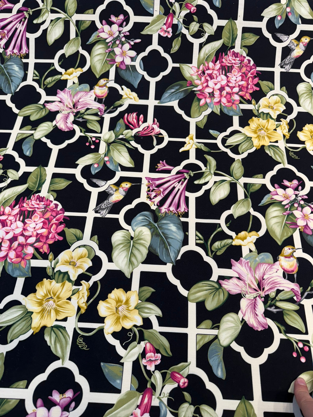 Waverly Treillage Floral Black Noir 100% Cotton Fabric - Black Floral Trellis, 54" Width (1 Yard)