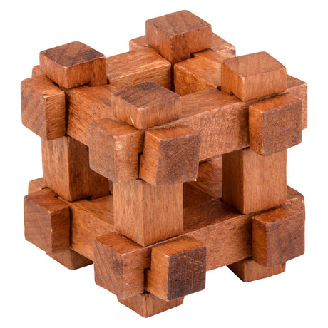Wooden Brain Teasers (1 DSP)