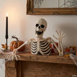 8" Black & White Groundbreaker Skeleton Halloween Decoration