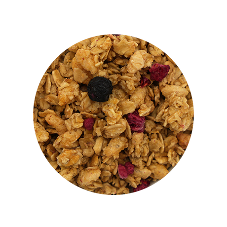 Bulk Foods - Blueberry and Raspberry Granola - Bulk Bin 1853 (9 pounds)