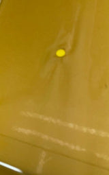 Yellow Polyester Crepe Fabric
