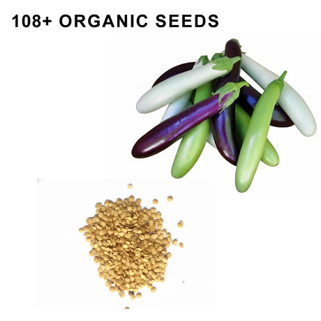 Fingerling Mix Eggplant Heirloom Seeds Good for Containers Patio and Balcony Organic Non GMO