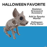 9 3/4" Sitting Pig Plastic Skeleton Halloween Tabletop Decoration