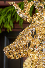 8.9' LED Standing Reindeer - 5200L