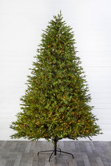9' Southern Fir with 2400 3mm Lights