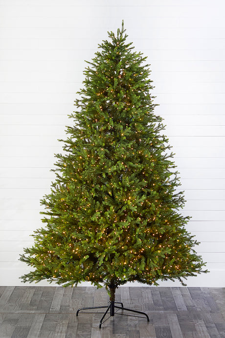 9' Southern Fir with 2400 3mm Lights