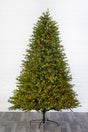 9' Southern Fir with 2400 3mm Lights
