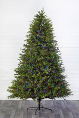 9' Southern Fir with 2400 3mm Lights