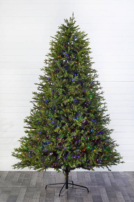 9' Southern Fir with 2400 3mm Lights