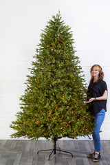 9' Southern Fir with 2400 3mm Lights