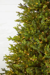 7.5' Southern Fir Tree 1400 LED Lights