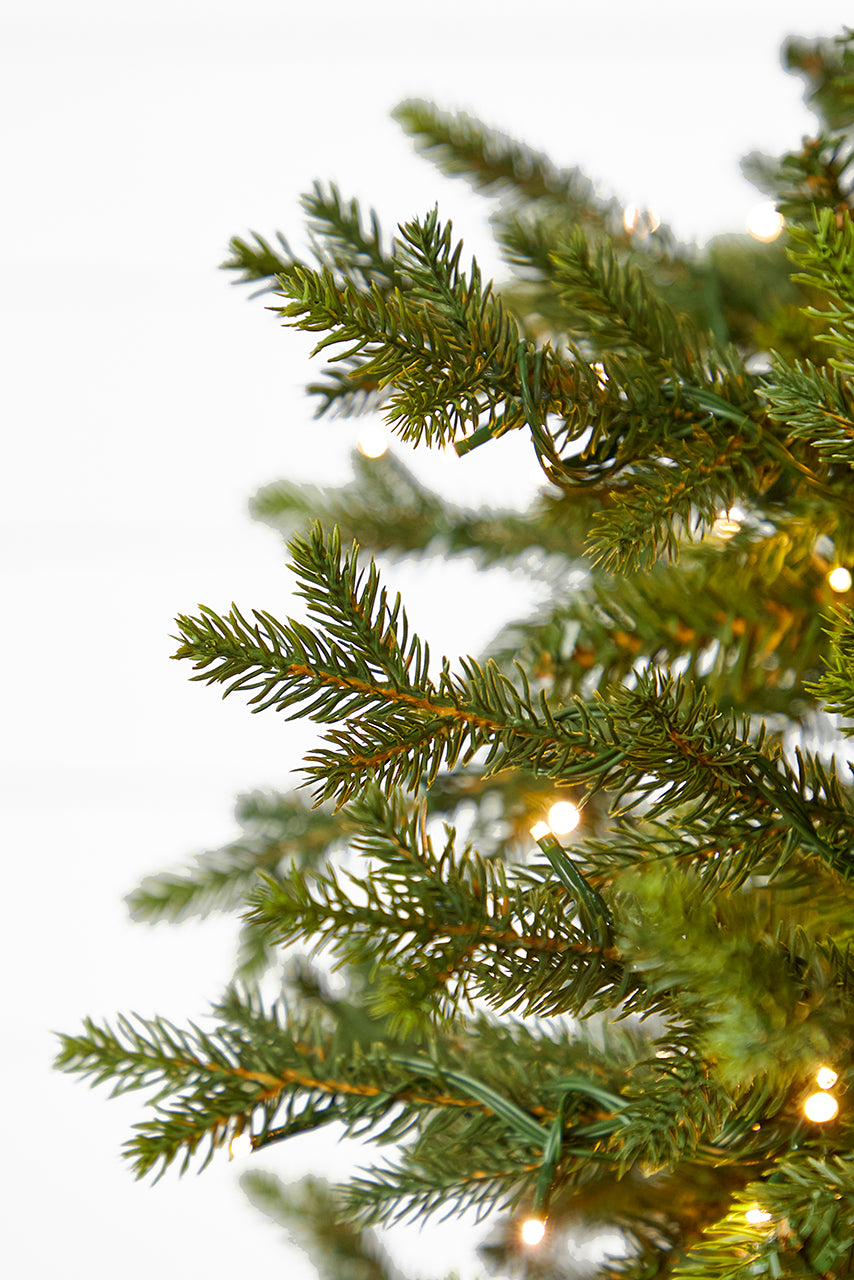 10' Southern Fir with 3000 3mm Lights