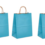 Compact Kraft Tinted Bag for All Uses 5.5" x 3.25" x 13"