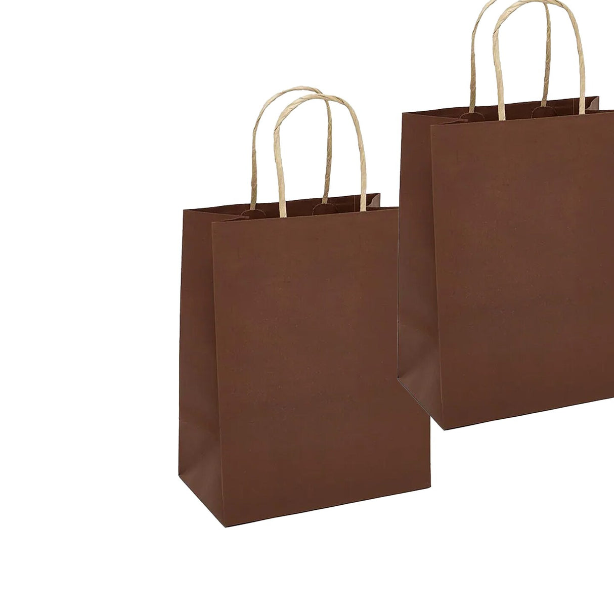 Diminutive Kraft Paper Tinted Bag 5.5" x 3.25" x 8.375"