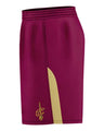 Men's NBA Logo Shorts