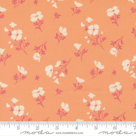 Cotton Print Fabric Cannon Beach Peach Astoria Florals 44/45"