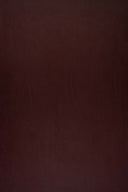 Mesh Stretch Solid Fabric