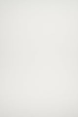 DTY Brushed Stretch Knit Fabric