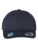 EcoWash Dad Hat